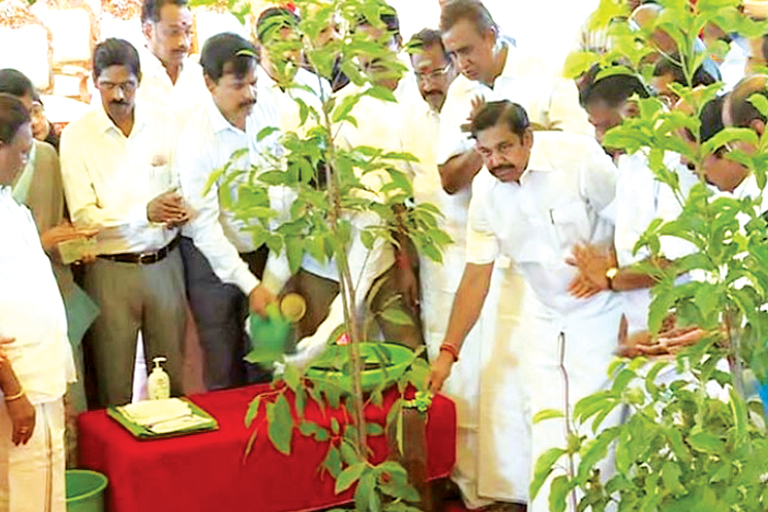 72 லட்சம் மரக்கன்றுகள் நடும் திட்டம்