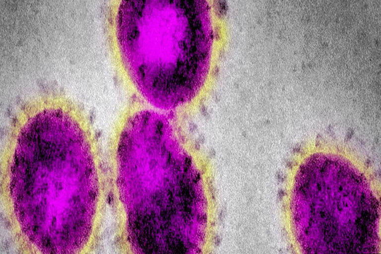 Vaksin COVID -19 dijangka siap dalam tempoh 18 bulan – WHO