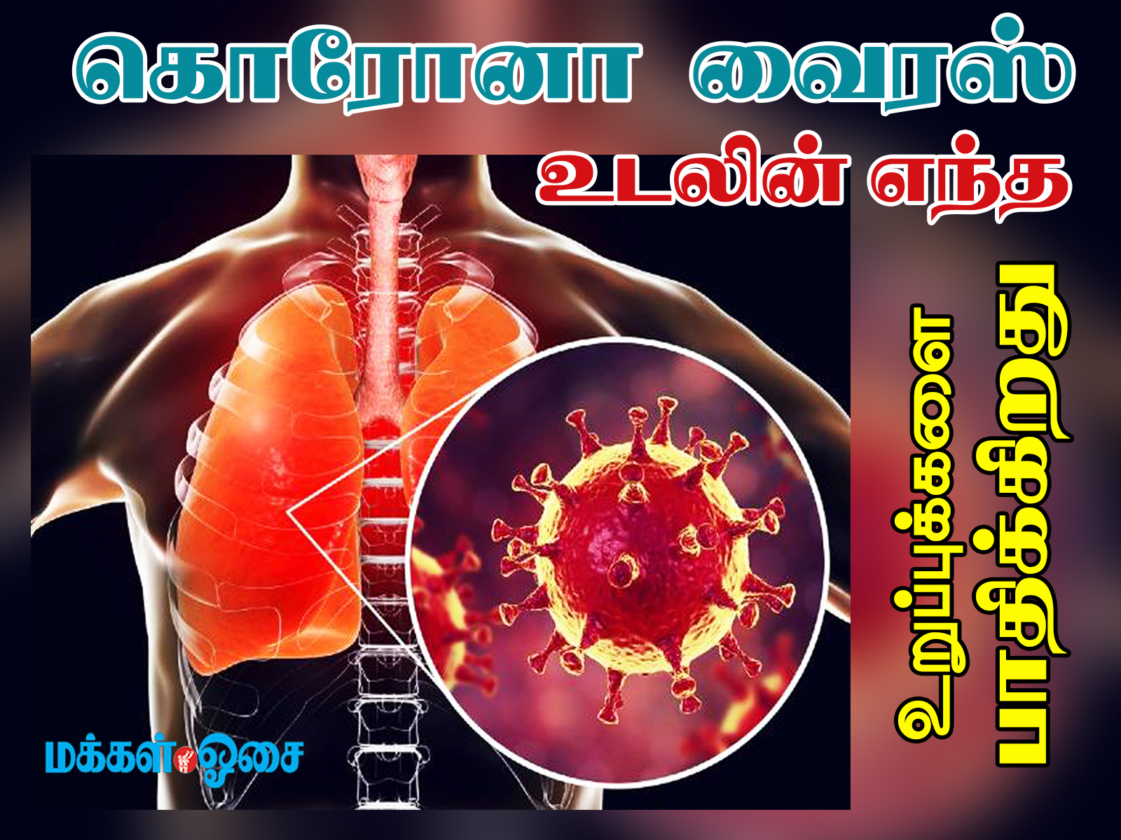 கொரோனா வைரஸ் உடலின் எந்த உறுப்புக்களை பாதித்து உயிரைப் பறிக்கிறது தெரியுமா?