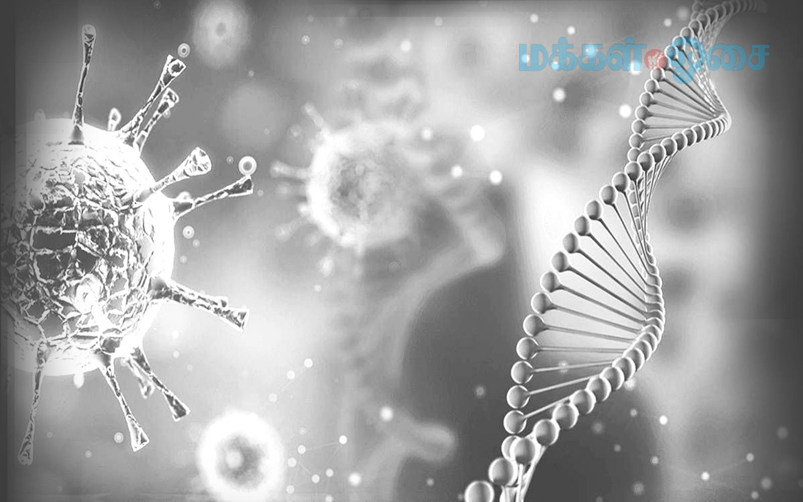 கோவிட் இறப்பு ஒரு பாடம்