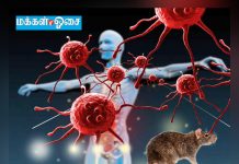 கொரோனாவுடன் கை கோர்தது புதிய ‘ஹண்டா’ வைரஸ் ! பீதியில் சீனா