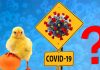கோழி முந்தியா முட்டை முந்தியா? கொரோனாவின் பதில் !