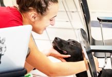 வளர்ப்புப்பிராணிகளிடம் கொஞ்சல் வேண்டாம்!