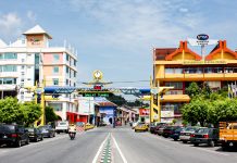 கொரோனாவிலிருந்து மீண்டது பெர்லிஸ்