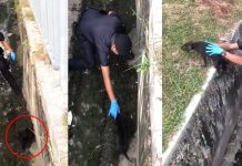 ஒரு ஜீவனின் கதை