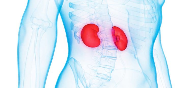 சிறுநீரகத்தையும் பாதிக்கும்