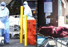 உலக அளவில் covid 19 பாதிப்பால் பலியானோர் 82 ஆயிரத்தை தாண்டியது