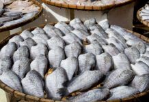Penjualan ikan dari rumah ke rumah dibenarkan
