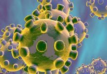 தமிழகத்தில் கொரோனா வைரசால் பலியானோர் எண்ணிக்கை 11 ஆக அதிகரிப்பு