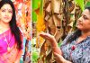 வீட்டில் புகுந்த நாகப்பாம்பை கையில் பிடித்த சீரியல் நடிகை!