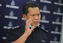 வீட்டில் கஞ்சா வளர்த்தவர் கைது