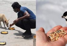 எந்தெந்த விலங்குகளுக்கு நாம் அளிக்கும் உணவு தோஷங்களை தீர்க்கும்