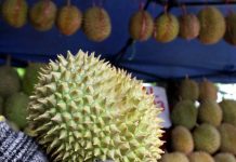 சீனாவுடன் 84 பில்லியன் ரிங்கிட் மதிப்பிலான டுரியான் ஒப்பந்தம்