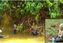 Hilang seminggu Ditemukan bergayut pada akar pokok