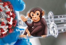 Vaksin covid19 diuji ke atas monyet