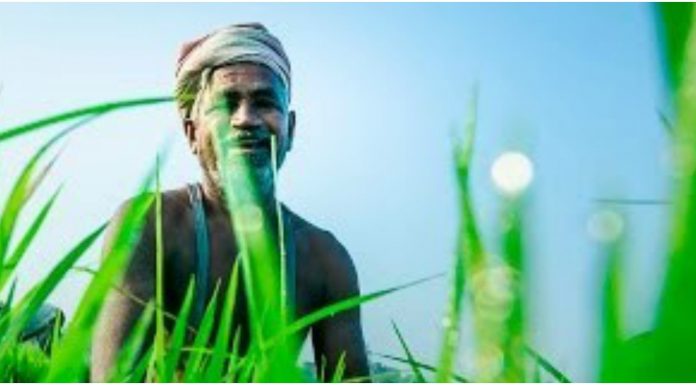 விவசாயிகளுக்கு உதவும் வாட்ஸ் அப்