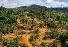 Hangus hutan Merapoh,Kuala Lipis