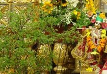 துன்பங்களைப் போக்கும் துளசி