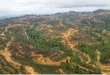 Pembalakan haram Tasik Chini