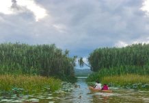 Jadikan PRK Chini Paling Terbaik