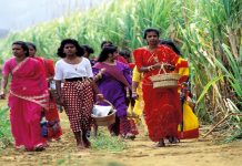 வெண்ணிலாவில் கால் வைத்தாற்போல வெனிலாவில் கொடி நாட்டும் ரீயூனியன் தமிழன்