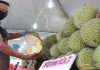 Selangor berpotensi perluas tanaman durian