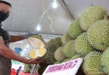 Selangor berpotensi perluas tanaman durian