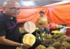 Kontraktor jual durian harga rendah