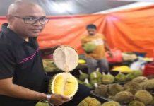 Kontraktor jual durian harga rendah