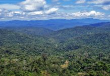 14 pendaki Hutan Simpan Bujang Melaka ditahan