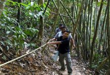 Aktiviti Meredah Hutan, Pendakian, Perkhemahan Tidak Dibenarkan Bermalam