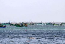 8 ஆயிரத்திற்கும் மேற்பட்ட மீனவர்கள் மீன்பிடிக்க சென்றனர்