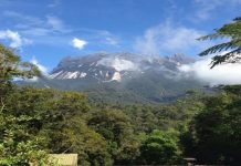 Hujan Berterusan, Pendakian Ke Puncak Kinabalu Dibatalkan