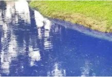 Kilang Cetak Dikompaun – Punca Kolam Tadahan Tercemar