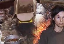 26 Tahun Kurung Anak Sebab Takut ‘Bahaya Dunia Luar’