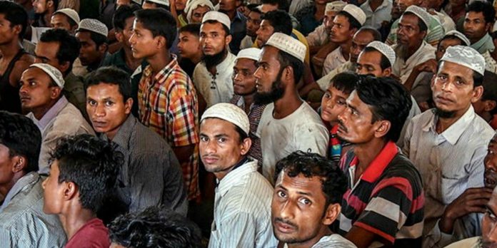rohingya