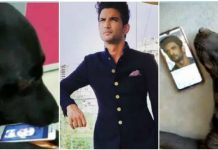 நடிகர் மரணத்தால் தவிக்கும் செல்ல நாய்! மனதை உருக்கும் போட்டோ!!