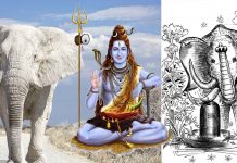 வெள்ளை யானை சாபம் தீர்த்தது