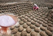 ஜீவ பஸ்ப விபூதி தயாரிக்கும் முறை