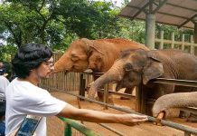 Sekali 1000 orang sahaja-Zoo Melaka