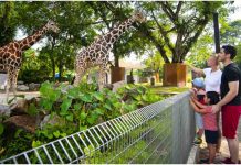 SOP di Zoo Negara – Akan Dipantau