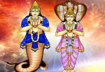 ராகு தோஷத்தால் அவதியா… இந்த பரிகாரம் பலன் தரும்…