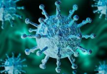 இந்த அழகிய தமிழக கிராமத்தில் கொரோனா எட்டிக் கூட பார்க்கவில்லை