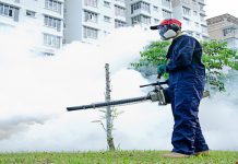 கிளாந்தானில் இந்தாண்டு டிங்கி காய்ச்சலால் 2 பேர் உயிரிழப்பு ; 197 பேர் பாதிப்பு