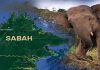 Sukar halau gajah kembali ke habitat