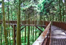 Tanjung Piai Kembali Bernyawa