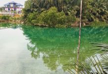 Perhilitan kaji cadangan bangunkan mini santuari buaya di Sungai Kesang