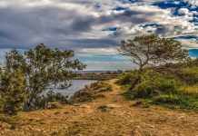 Pencerobohan Hutan Simpan Similajau berjaya dikesan