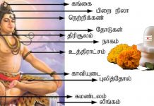 சிவன் அணிந்துள்ள ஆபரணங்களில் உண்மை விளக்கங்கள்
