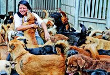 நாய்கள் மிதான நன்றி எங்கே?